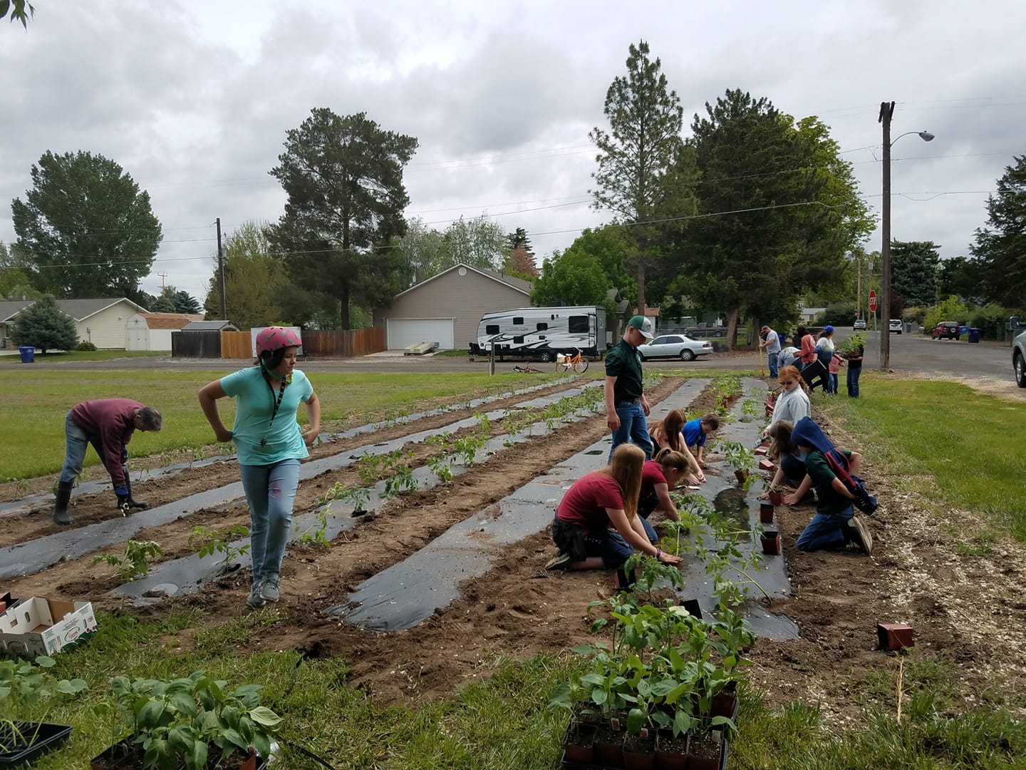 Students participating in a community garden.